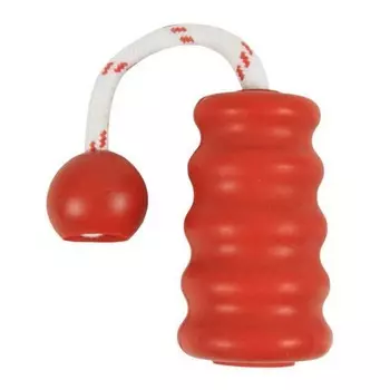 Игрушка развивающая Trixie Fun Mot Мини для собак для игры на воде 9 см резина/нейлон породы мелкого размера Китай 1 уп. х 1 шт. х 0.115 кг