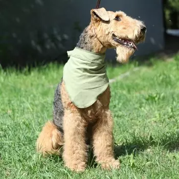 Косынка OSSO-fashion для кошек и собак всех пород и возрастов охлаждающая - р. S для всех возрастов s Россия 1 уп. х 1 шт. х 0.025 кг