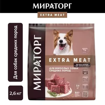 Мираторг Adult Middle Dog Black Angus полнорационный сухой корм для собак средних пород, с говядиной - 2,6 кг повседневный для взрослых с говядиной породы среднего размера мешок Россия 1 уп. х 1 шт. х 2.6 кг