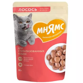 Мнямс влажный корм для стерилизованных кошек, с лососем, кусочки в соусе, в паучах - 85 г премиум для пожилых с лососем для всех пород паучи Российский корм 1 уп. х 24 шт. х 2.04 кг