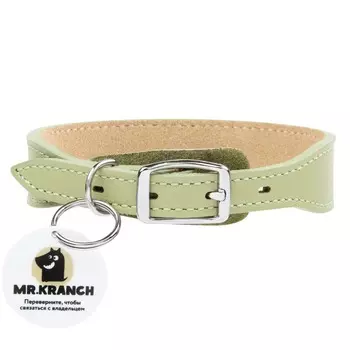 Mr.Kranch ошейник для собак, из натуральной кожи с QR-адресником, 33-40см, нежно-зеленый для всех возрастов породы мелкого размера Россия 1 уп. х 1 шт. х 0.1 кг