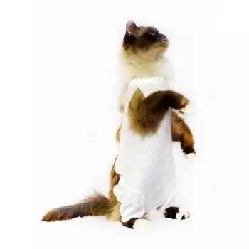 OSSO-fashion Послеоперационнная попона, размер 2 для всех пород Россия 1 уп. х 1 шт. х 0.038 кг