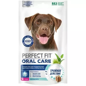 Perfect Fit Oral Care лакомство для собак средних и крупных пород, для поддержания здоровья зубов и полости рта, с говядиной и добавлением мяты- 130 г для всех возрастов породы крупного размера Россия 1 уп. х 1 шт. х 0.13 кг