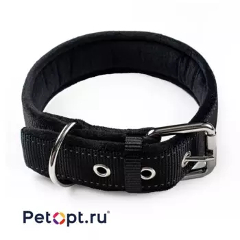 PetOpt Ошейни для собакк с мягкой подкладкой, застежка, ременная пряжка, Черный M 50ммХ425-525см m Китай 1 уп. х 1 шт. х 0.148 кг