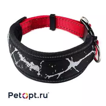 PetOpt Ошейник для собак, широкий неопреновый, Красный-черный, S 20 мм 30-40 см Конструкция "два кольца", фастекс s Китай 1 уп. х 1 шт. х 0.056 кг