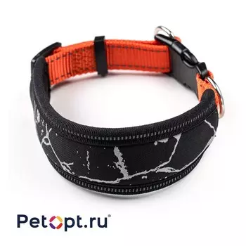 PetOpt Ошейник для собак, широкий неопреновый, Оранжевый-черный, M 25 мм 30-50 см Конструкция "два кольца", фастекс m Китай 1 уп. х 1 шт. х 0.096 кг