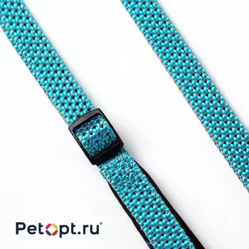 PetOpt Поводок для собак, светоотражающий, Черный, нейлоновый M 20ммХ200см Изменяющаяся длина 120-200 см m Китай 1 уп. х 1 шт. х 0.111 кг