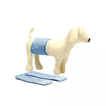 Пояс OSSO-fashion для кобелей многоразовый впитывающий, размер XS 23-29х9 см для всех возрастов xs Россия 1 уп. х 1 шт. х 0.029 кг