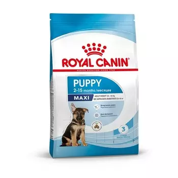 Royal Canin Maxi Puppy полнорационный сухой корм для щенков крупных пород до 15 месяцев повседневный супер премиум для щенков со свининой породы крупного размера мешок Россия 1 уп. х 1 шт. х 15 кг