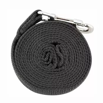 Triol поводок для собак капроновый, 25х2000 мм Россия 1 уп. х 1 шт. х 0.14 кг