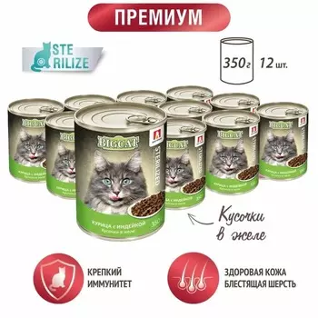 Зоогурман Big Cat Sterilized влажный корм для стерилизованных кошек крупных пород, с курицей и индейкой, кусочки в желе, в консервах - 350 г повседневный премиум с клетчаткой для взрослых с индейкой породы крупного размера консервы (в железной банке) Российский корм 1 уп. х 12 шт. х 4.2 кг