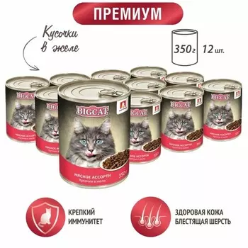 Зоогурман Big Cat влажный корм для кошек крупных пород, с мясным ассорти, кусочки в желе, в консервах - 350 г повседневный премиум с клетчаткой для взрослых с мясом породы крупного размера консервы (в железной банке) Российский корм 1 уп. х 12 шт. х 4.2 кг