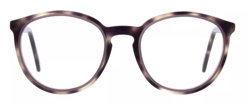 Andy Wolf 5067R 06 51/19