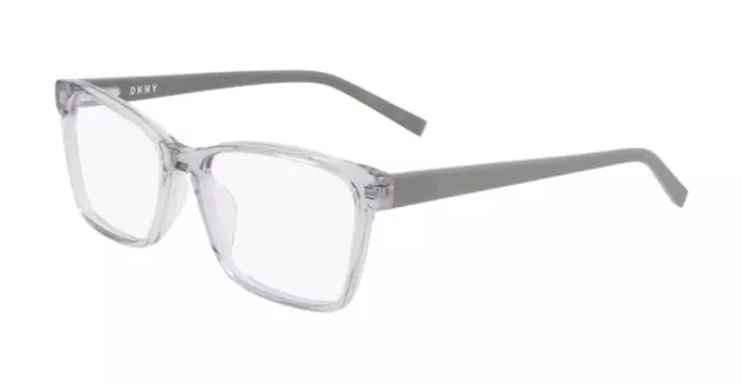 DKNY 5038 CRYSTAL SLATE SAGE