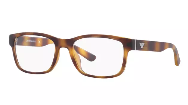 Emporio Armani 3201U 5002