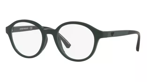 Emporio Armani 3202 5058