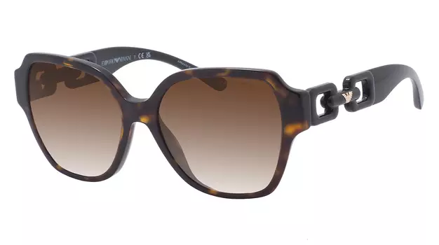 Emporio Armani 4202 502613