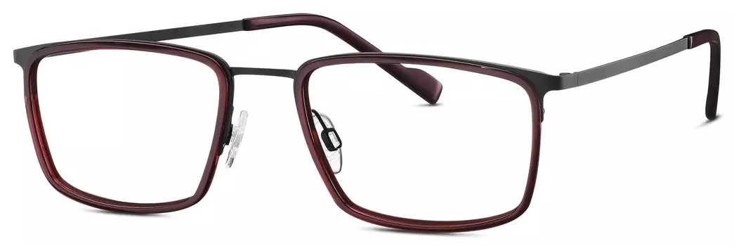 Оправа TITANflex Eschenbach 820869-10 54х20