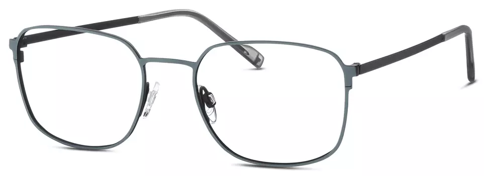 Оправа TITANflex Eschenbach 820881-31 54х20
