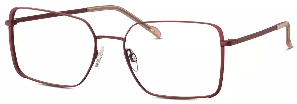 Оправа TITANflex Eschenbach 826016-50 55х17