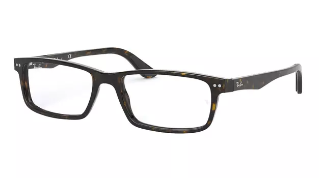 Ray-Ban Active Lifestyle RX 5277 2012