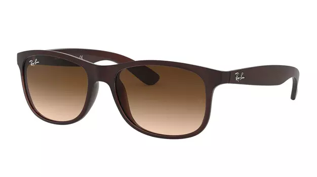 Ray-Ban Andy RB 4202 607313