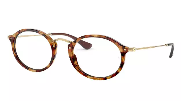 Ray-Ban Icons RX 2547V 5494