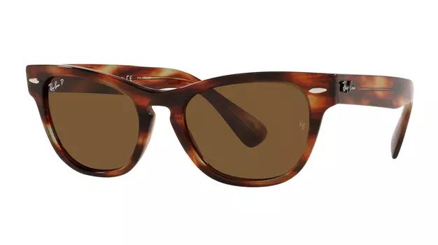 Ray-Ban Laramie RB 2201 954/57
