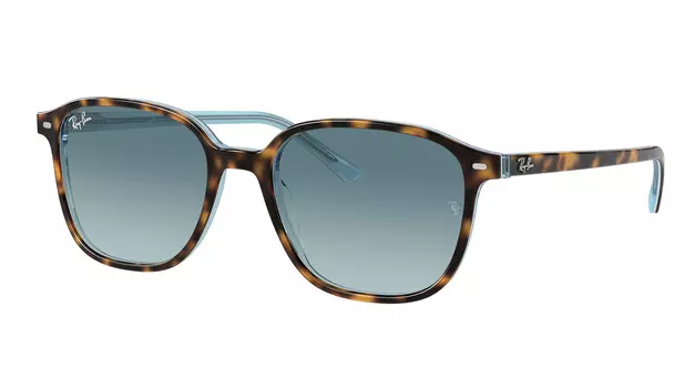 Ray-Ban Leonard RB 2193 13163M
