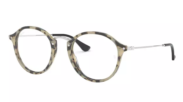 Ray-Ban Round Fleck RX 2447V 5832