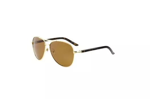 TROPICAL ON THE DOCK PLZD GLD-TRT/BRN