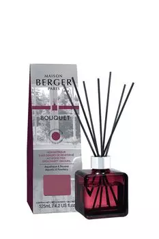 Аромадиффузор для гостиной Maison Berger Paris