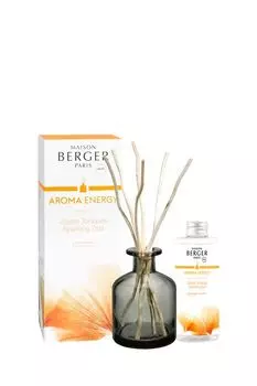 Аромадиффузор Энергия Maison Berger Paris