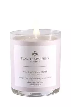 Аромасвеча Корзина с оливами Plantes et Parfums Provence