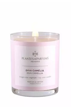 Аромасвеча Роскошная камелия Plantes et Parfums Provence