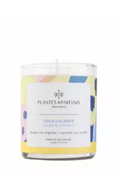 Аромасвеча Тропический кокос Plantes et Parfums Provence