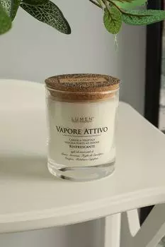 Ароматическая свеча Rinfrescante COINCASA