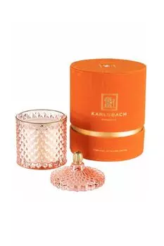 Ароматическая свеча в банке Moments - Cactus Karlsbach