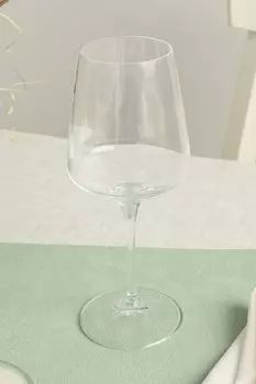 Бокал из хрусталя для белого вина Aria Rcr