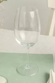 Бокал из хрусталя для красного вина Invino Rcr