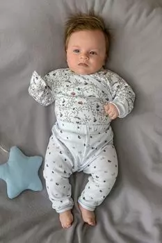 Брюки хлопковые с принтом Шишки Aspaya