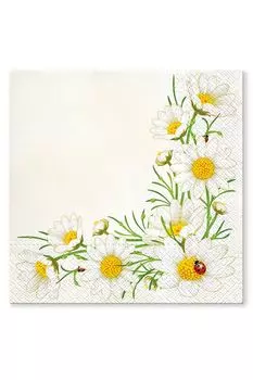 Бумажные салфетки Paw