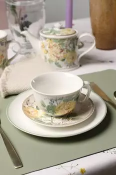 Чашка с блюдцем фарфоровые в подарочной упаковке EDG