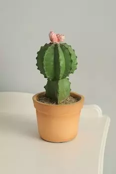 Декоративная фигура Кактус Home Philosophy