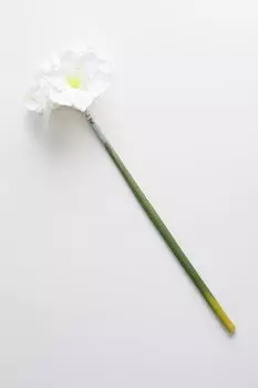 Декоративная ветка Амариллис Holiday Classics