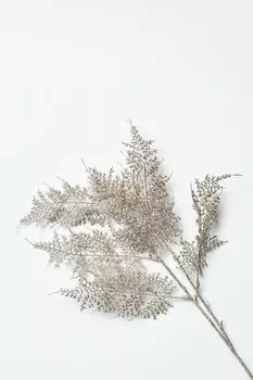 Декоративная ветка Asparagus COINCASA