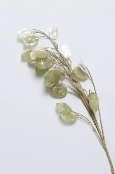 Декоративная ветка COINCASA