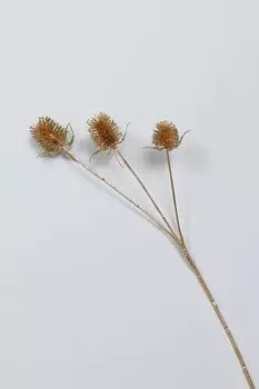 Декоративная ветка COINCASA