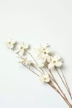 Декоративная ветка COINCASA