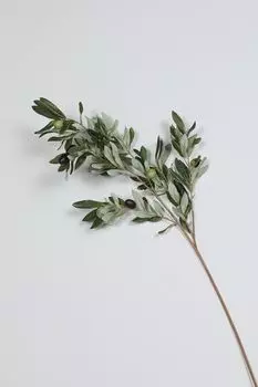 Декоративная ветка EDG